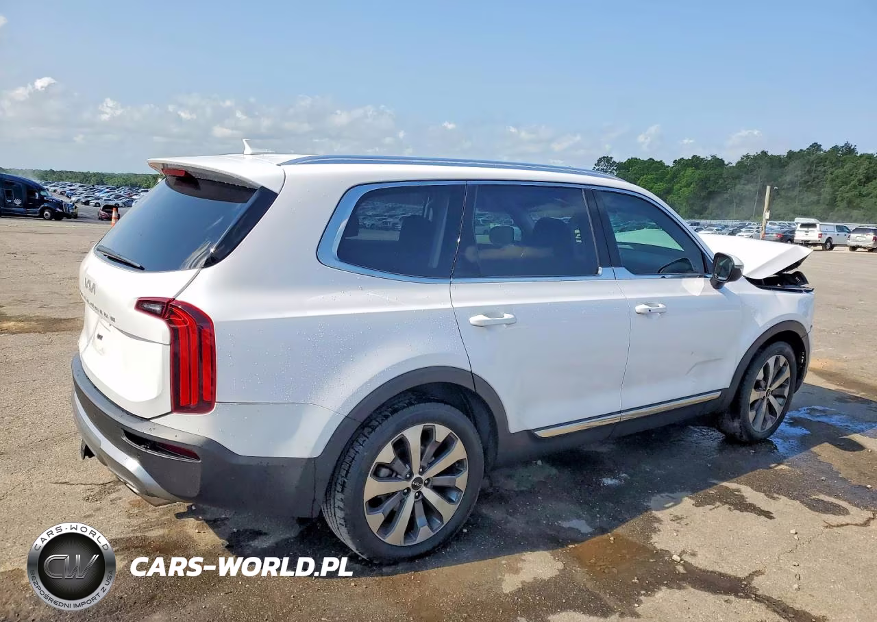 2022 Kia Telluride Ex VIN:5XYP34HC7NG235640 - 3