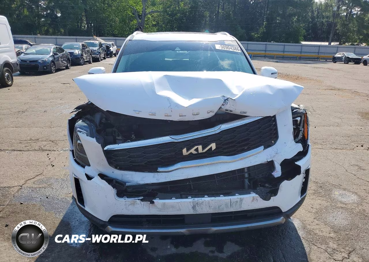 2022 Kia Telluride Ex VIN:5XYP34HC7NG235640 - 5
