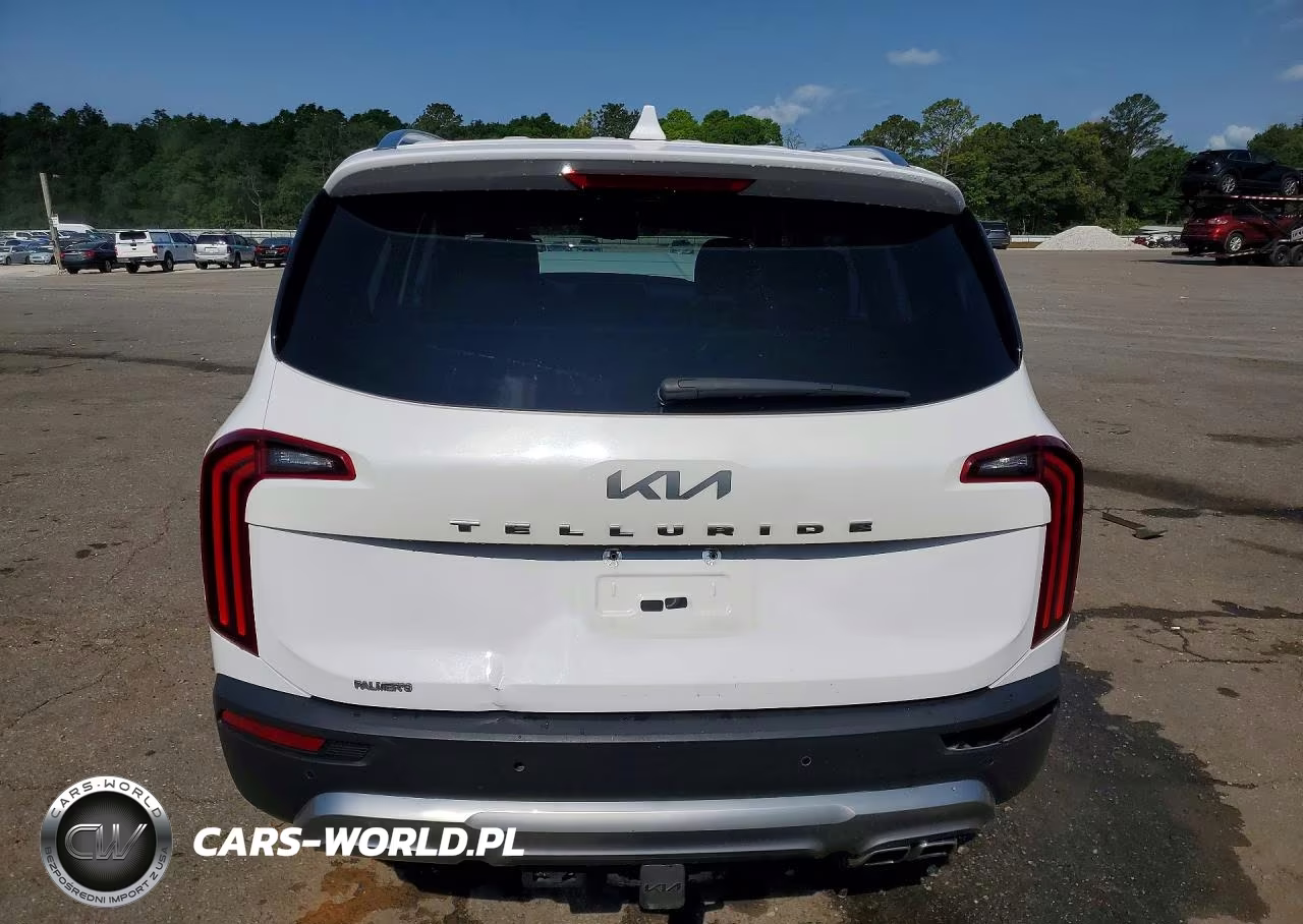 2022 Kia Telluride Ex VIN:5XYP34HC7NG235640 - 6