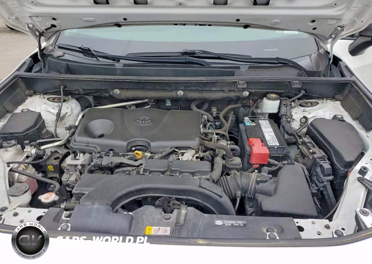 2019 Toyota Rav4 Le VIN:2T3H1RFV2KW038416 - 12