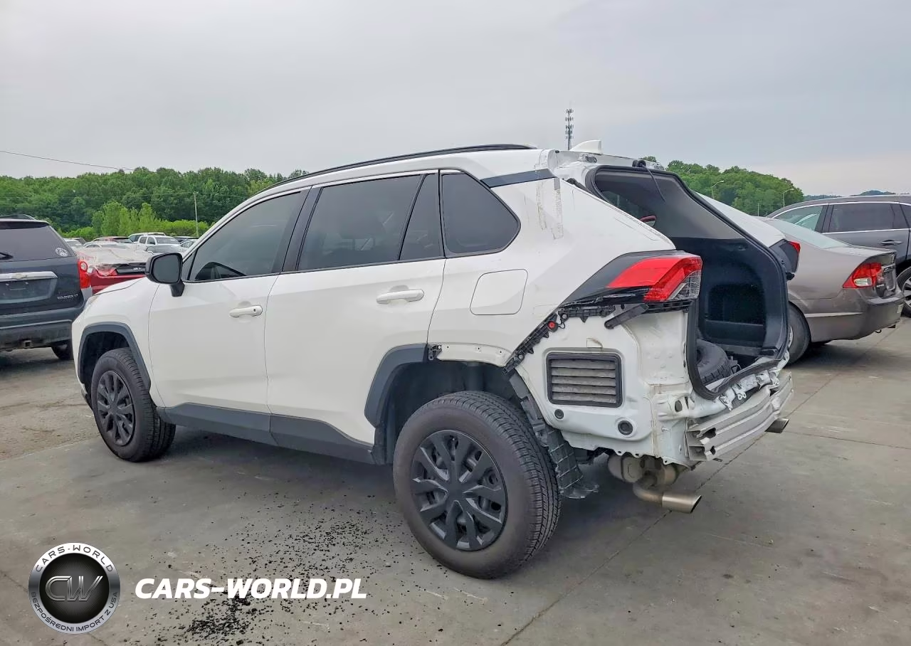 2019 Toyota Rav4 Le VIN:2T3H1RFV2KW038416 - 2