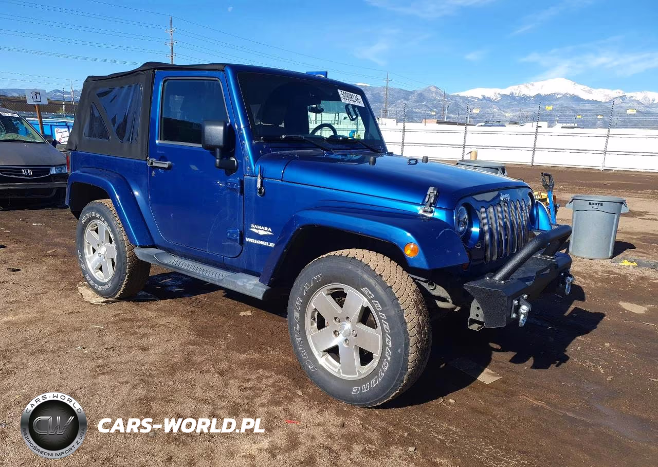 2009 Jeep Wrangler Sahara VIN:1J8FA54119L735906 - 4