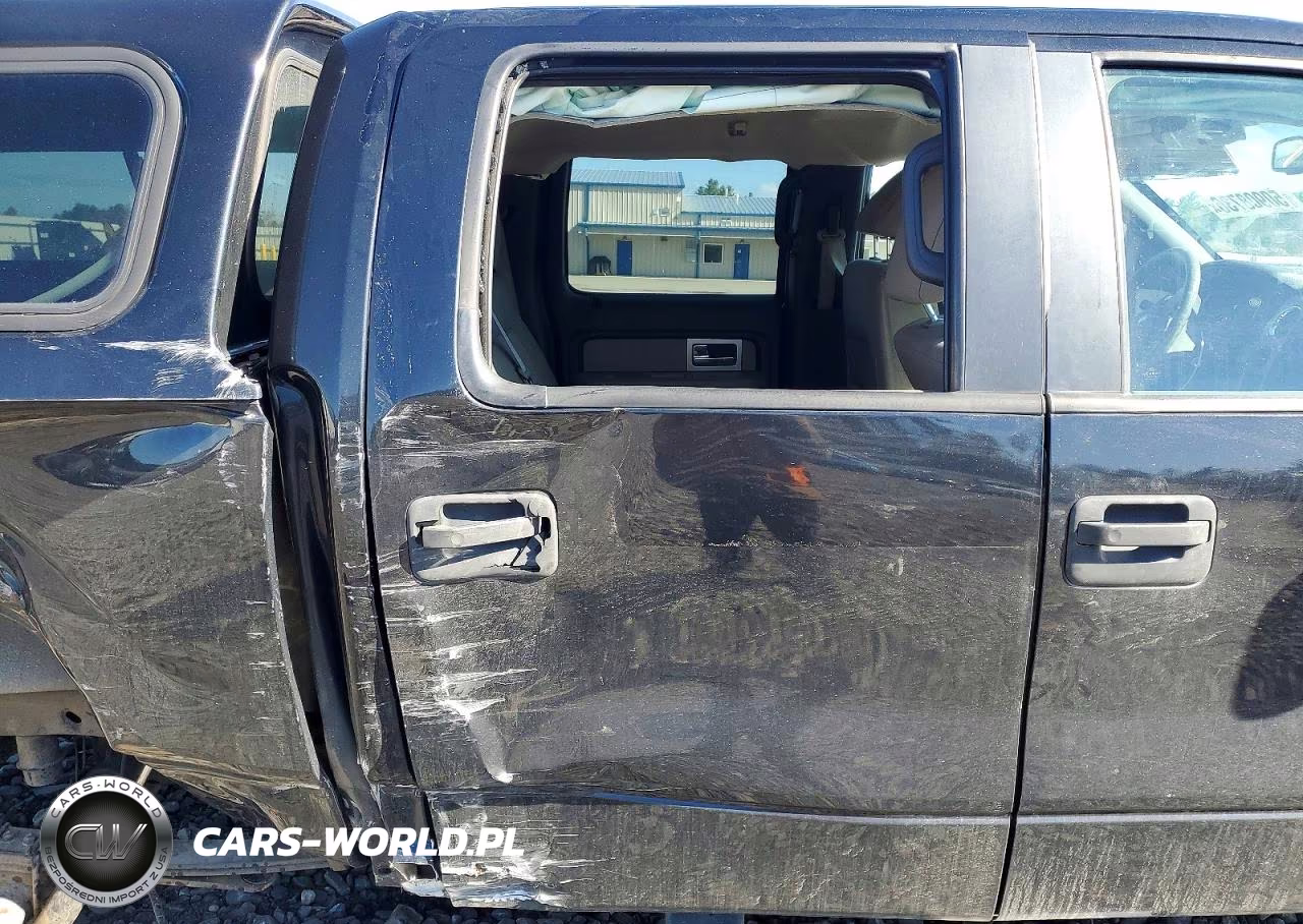 2010 Ford F150 Supercrew VIN:1FTEW1E85AFB76341 - 10