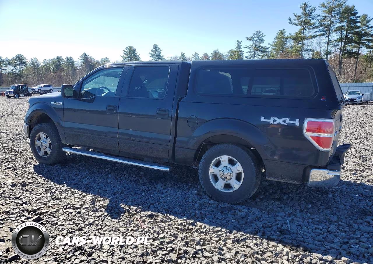 2010 Ford F150 Supercrew VIN:1FTEW1E85AFB76341 - 2
