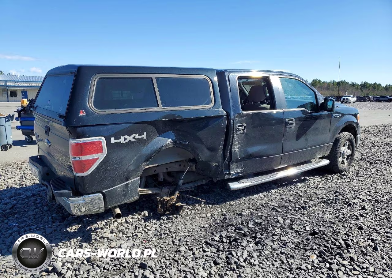 2010 Ford F150 Supercrew VIN:1FTEW1E85AFB76341 - 3