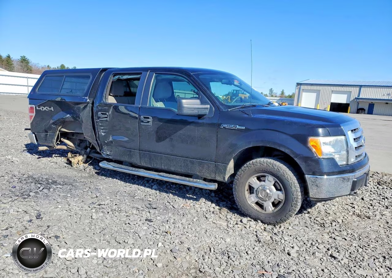 2010 Ford F150 Supercrew VIN:1FTEW1E85AFB76341 - 4