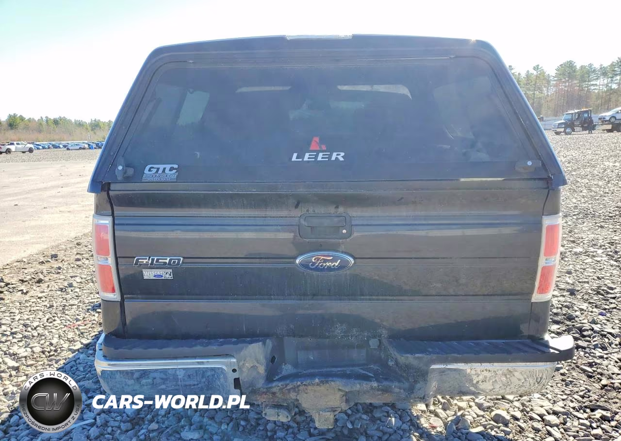 2010 Ford F150 Supercrew VIN:1FTEW1E85AFB76341 - 6
