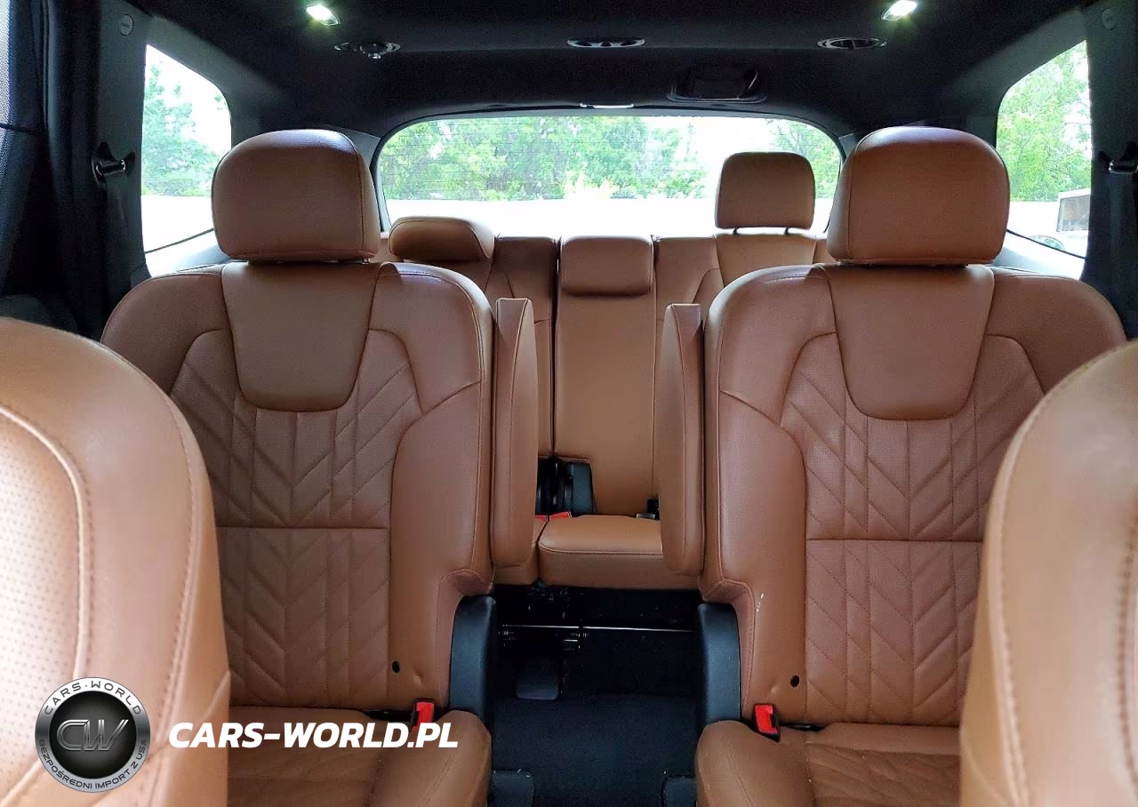 2023 Kia Telluride Sx X-Line VIN:5XYP5DGC6PG382112 - 10