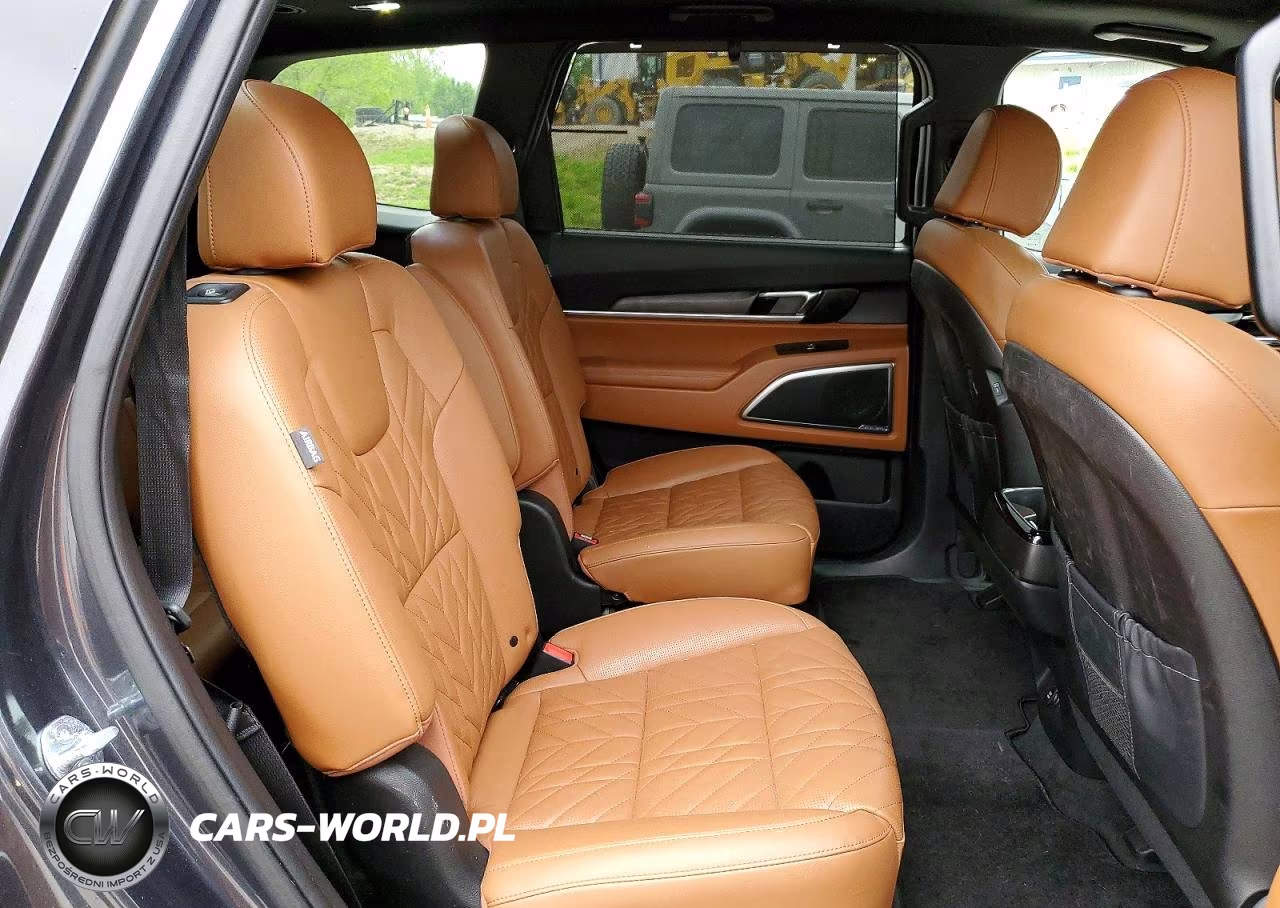 2023 Kia Telluride Sx X-Line VIN:5XYP5DGC6PG382112 - 11