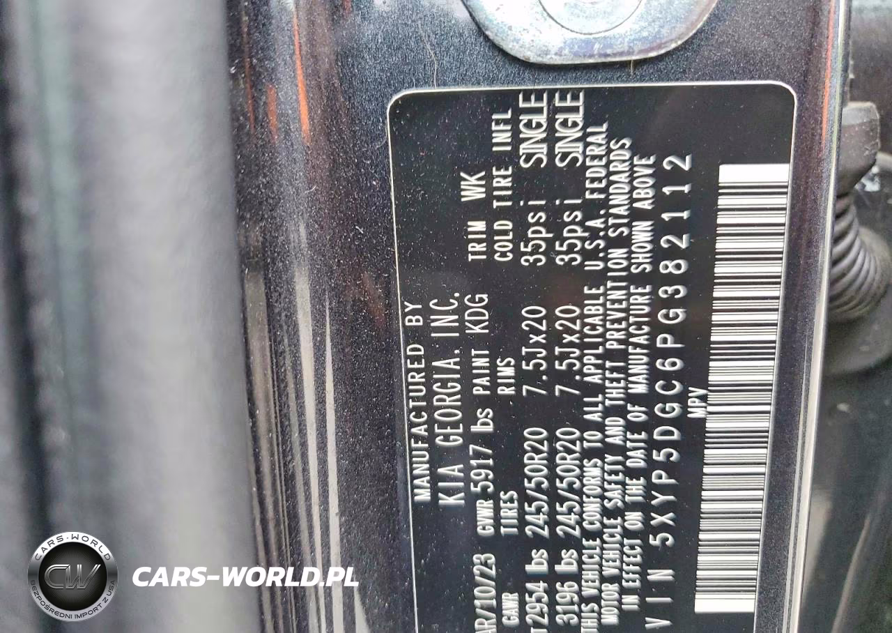 2023 Kia Telluride Sx X-Line VIN:5XYP5DGC6PG382112 - 13