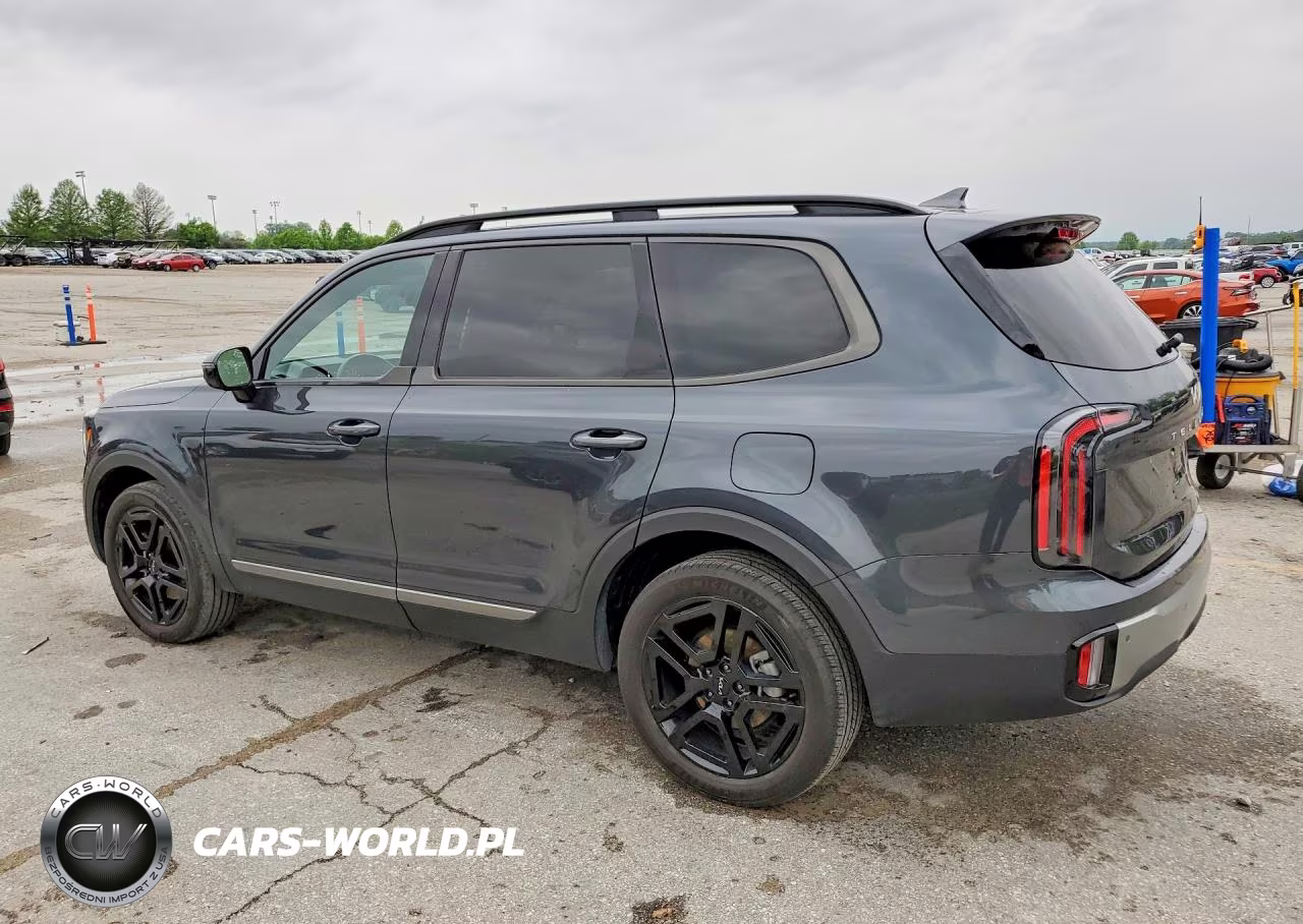 2023 Kia Telluride Sx X-Line VIN:5XYP5DGC6PG382112 - 2