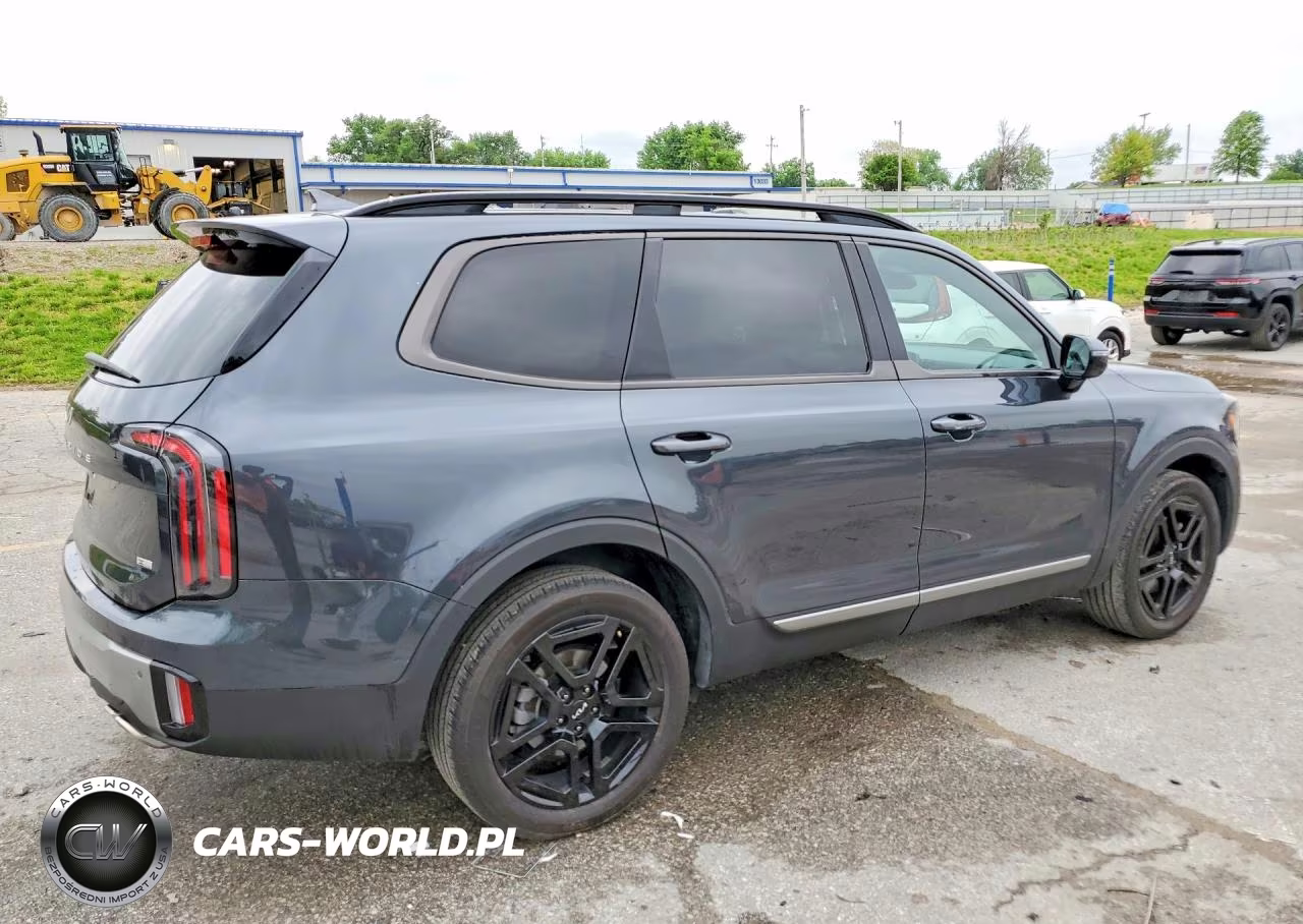 2023 Kia Telluride Sx X-Line VIN:5XYP5DGC6PG382112 - 3