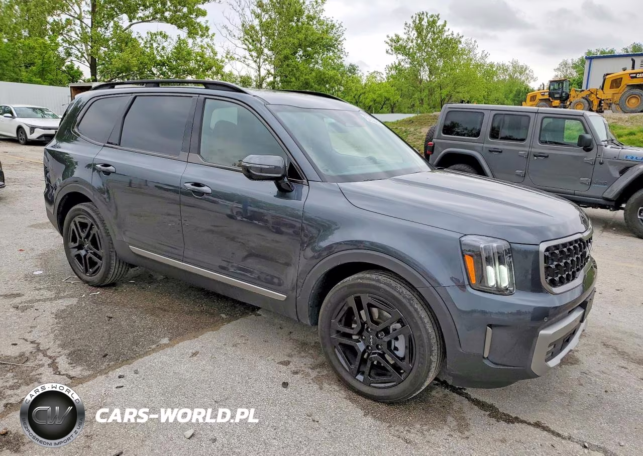 2023 Kia Telluride Sx X-Line VIN:5XYP5DGC6PG382112 - 4