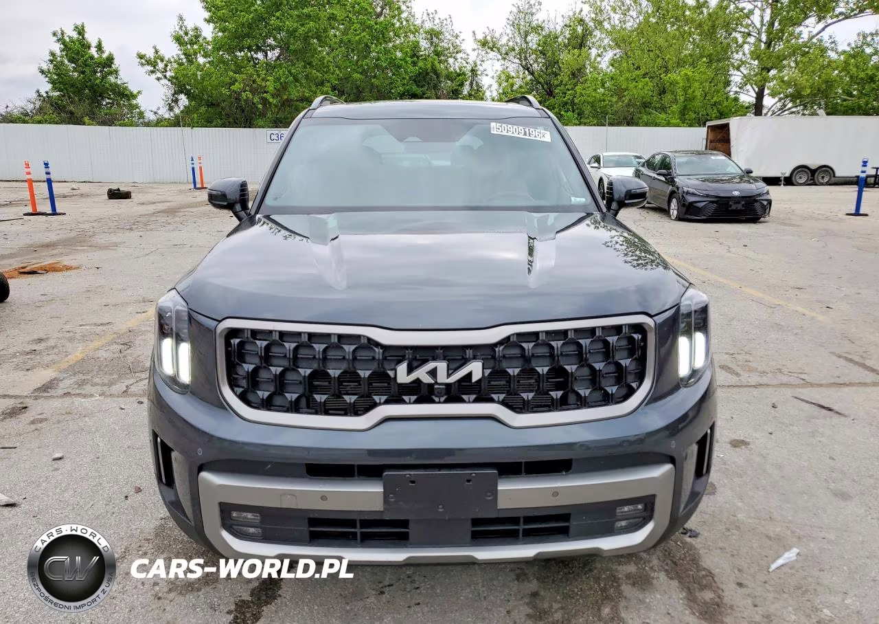 2023 Kia Telluride Sx X-Line VIN:5XYP5DGC6PG382112 - 5