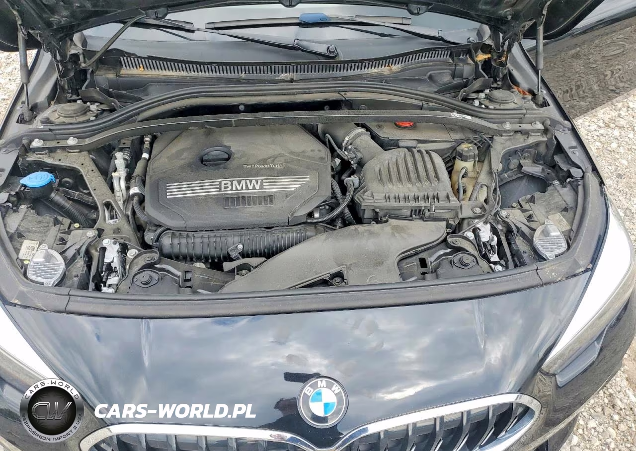 2021 BMW 228I VIN:WBA53AK09M7J47654 - 11