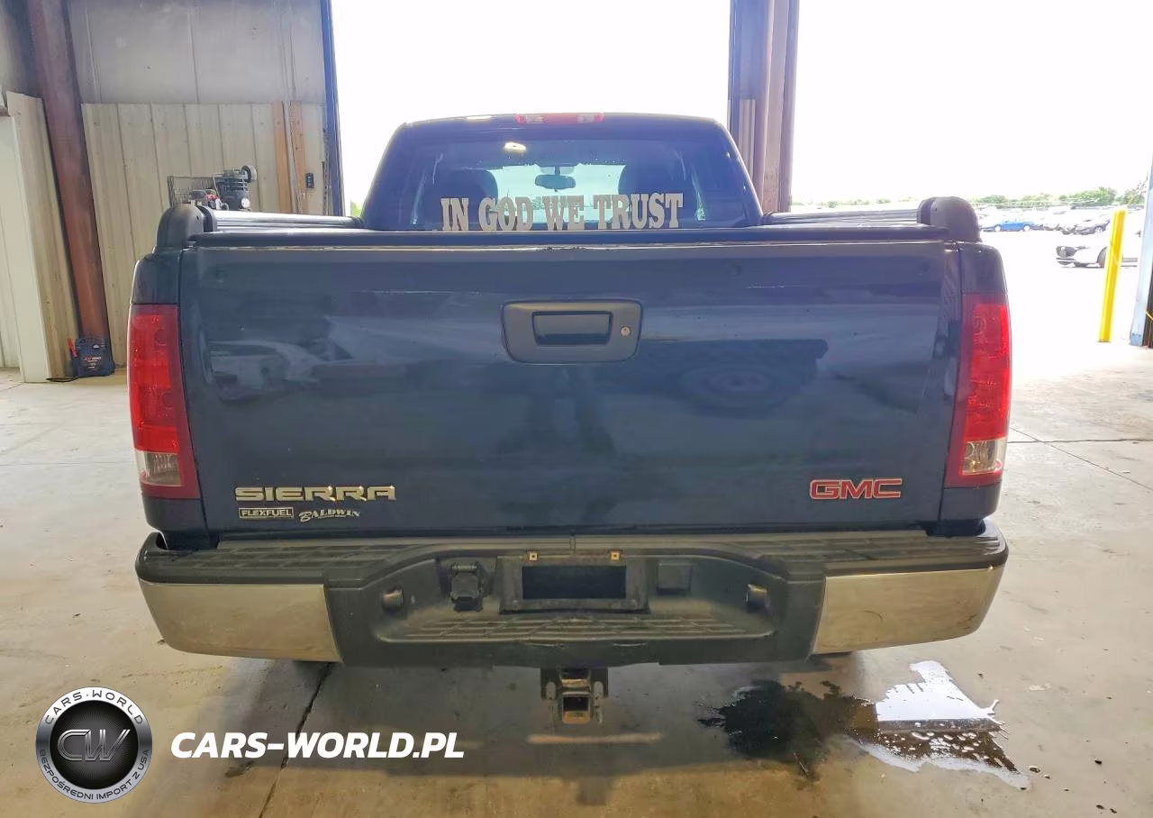 2009 GMC Sierra K1500 Sle VIN:1GTEK29049Z251384 - 6