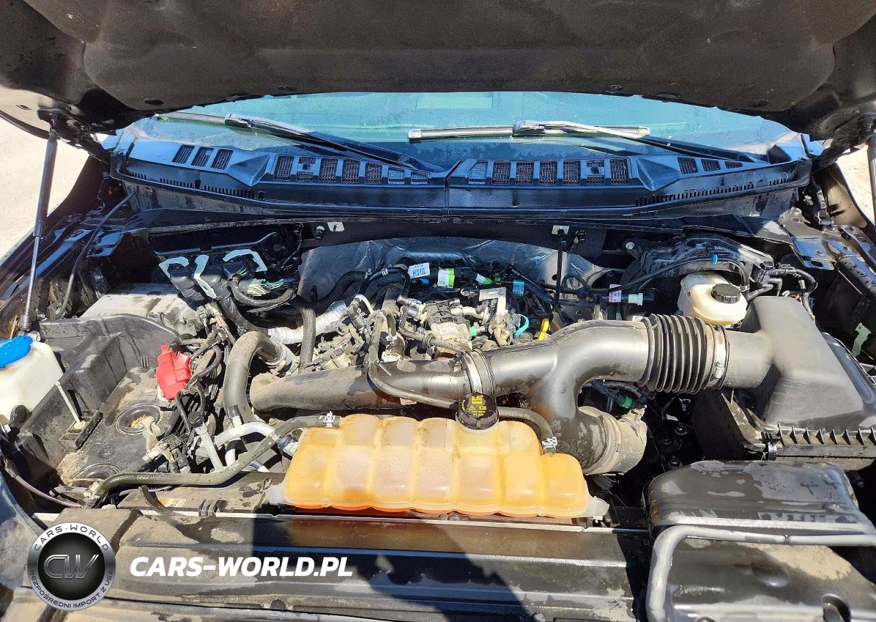 2019 Ford F150 Supercrew VIN:1FTEW1EP0KFA74292 - 11