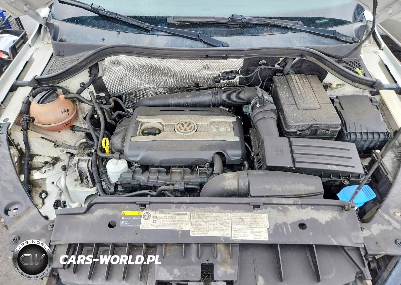 2015 Volkswagen Tiguan S VIN:WVGBV7AX2FW599404 - 12