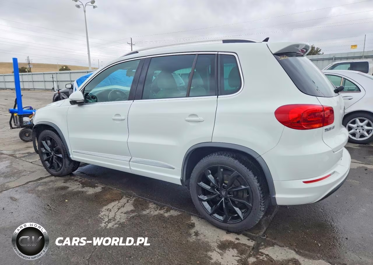2015 Volkswagen Tiguan S VIN:WVGBV7AX2FW599404 - 2
