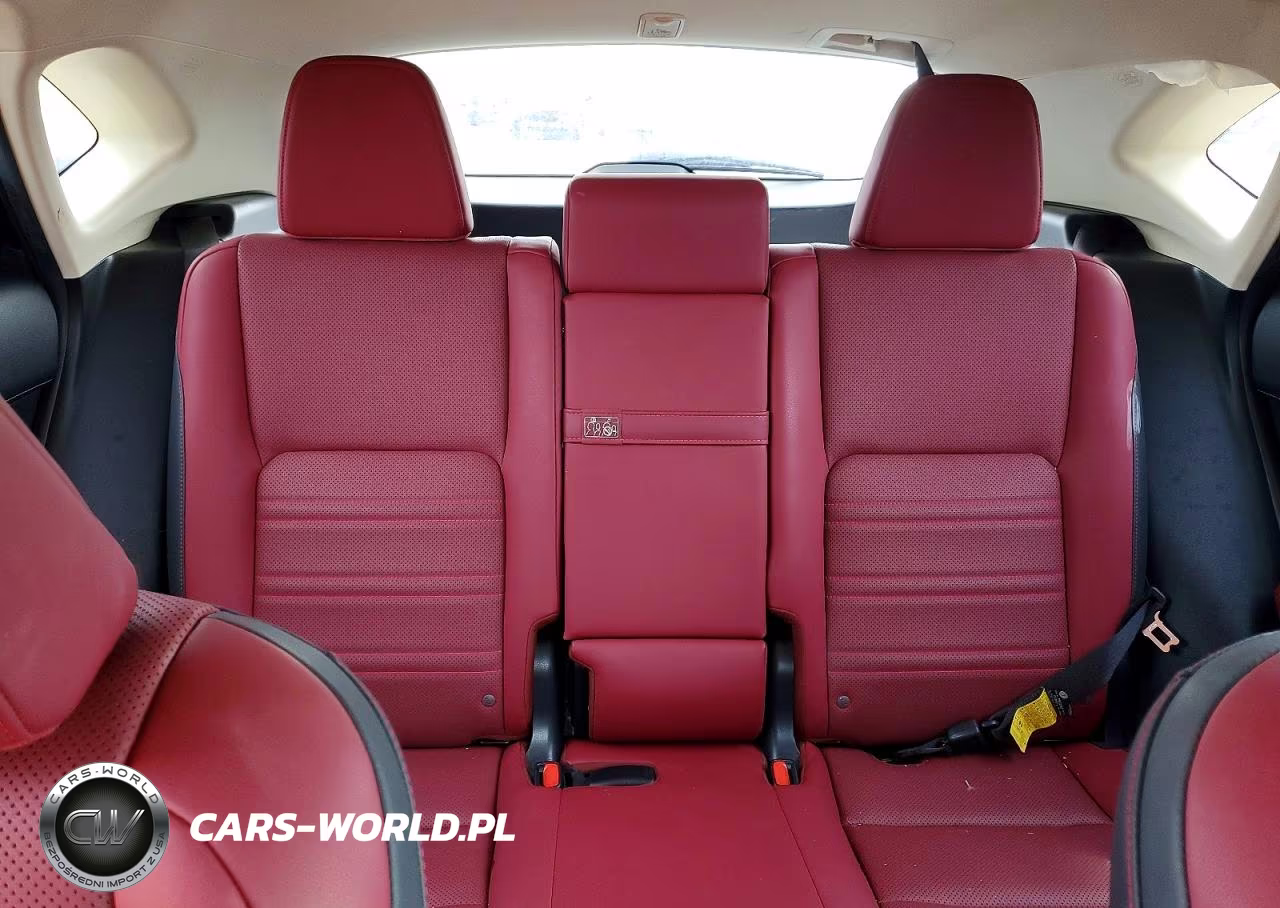 2021 Lexus Nx 300 Base VIN:JTJGARBZ0M2185136 - 10