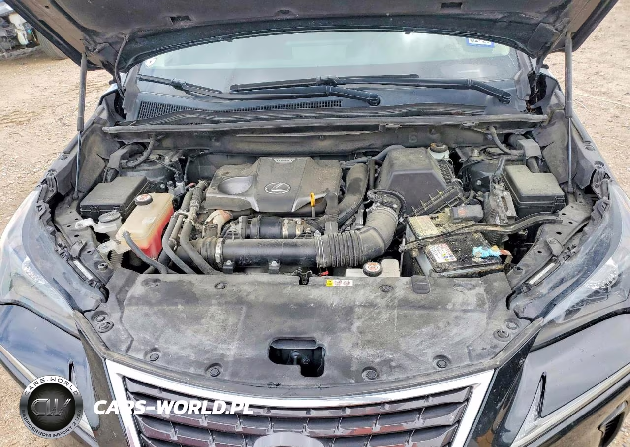 2021 Lexus Nx 300 Base VIN:JTJGARBZ0M2185136 - 12
