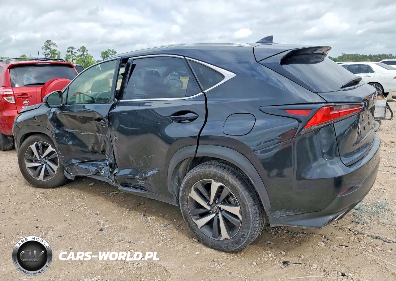 2021 Lexus Nx 300 Base VIN:JTJGARBZ0M2185136 - 2
