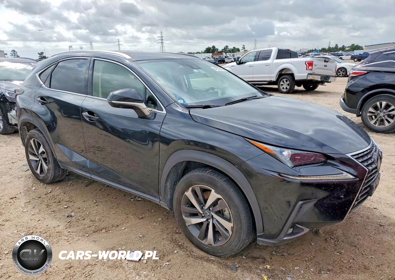 2021 Lexus Nx 300 Base VIN:JTJGARBZ0M2185136 - 4