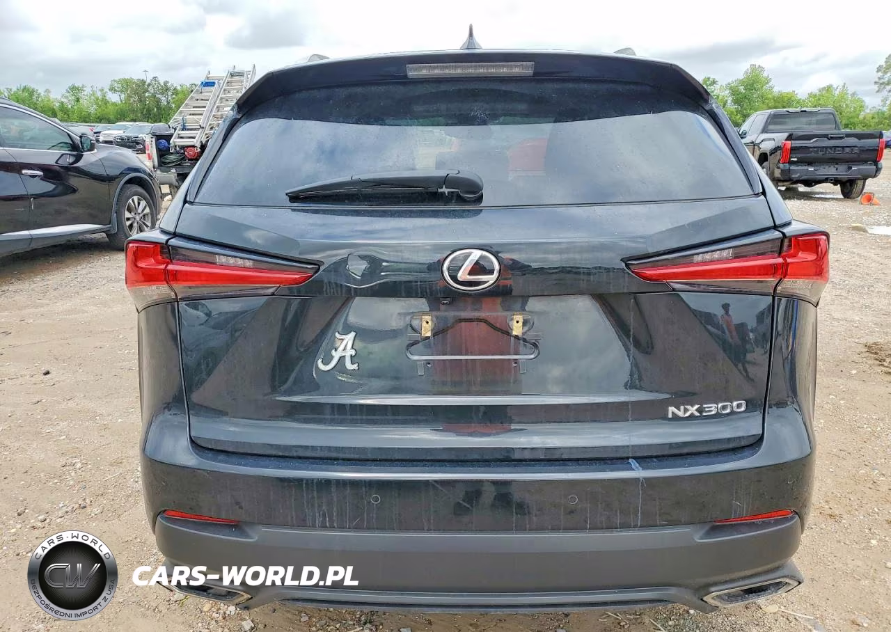 2021 Lexus Nx 300 Base VIN:JTJGARBZ0M2185136 - 6