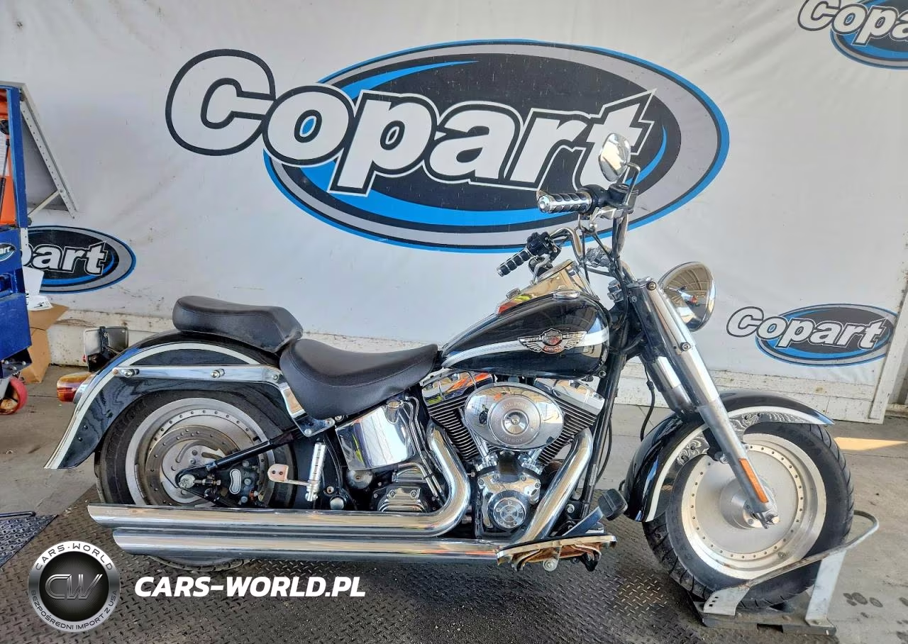2003 Harley-Davidson Flstfi