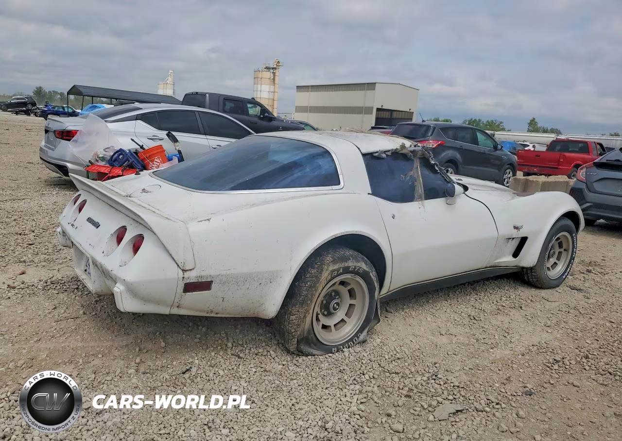 1979 Chevrolet Corvette VIN:1Z8749S402402 - 3