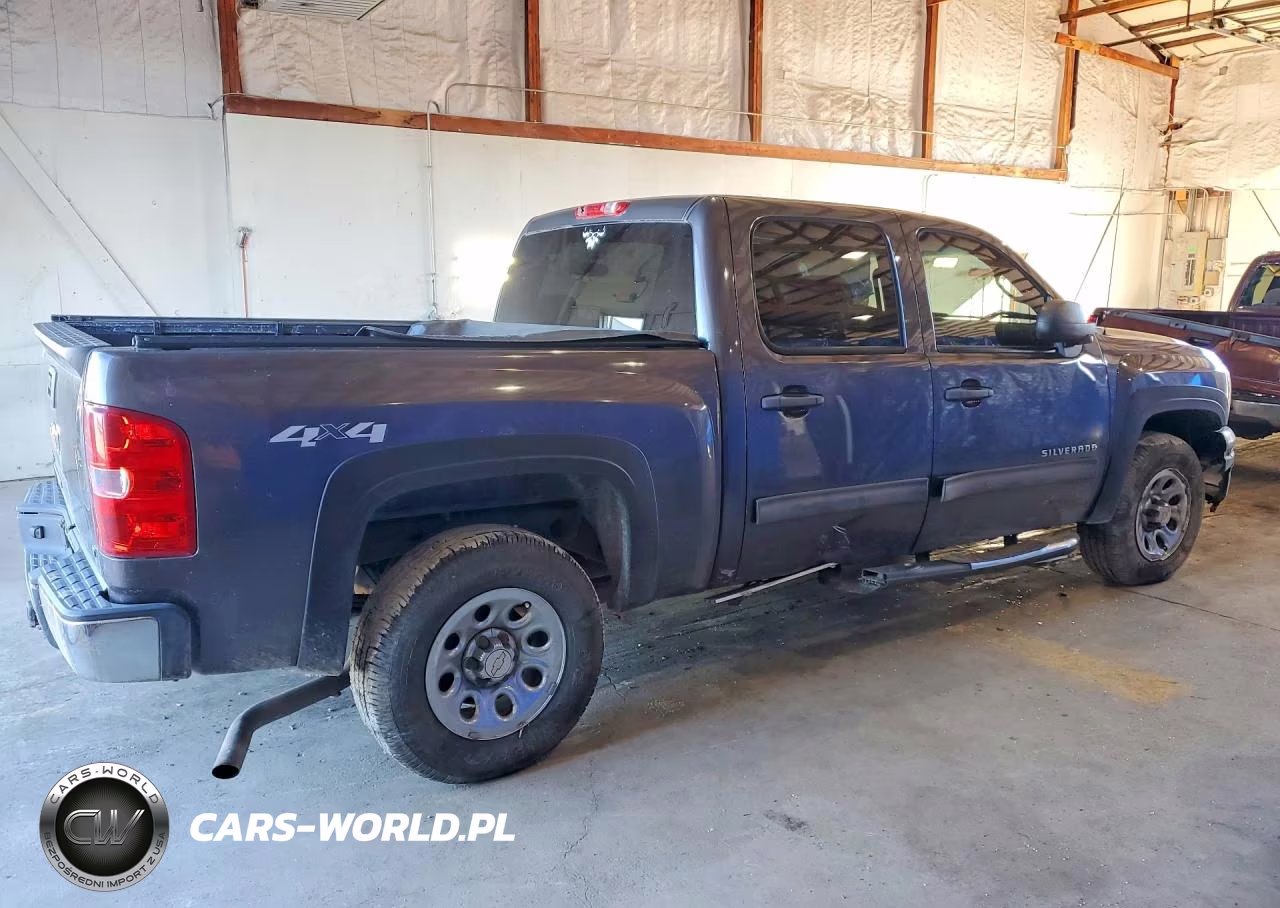 2010 Chevrolet Silverado K1500 Lt VIN:3GCRKSEA5AG193175 - 3
