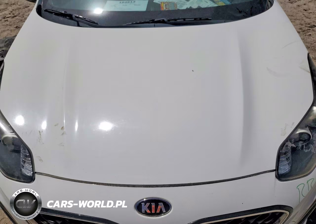 2020 Kia Sportage Lx VIN:KNDPM3AC3L7725651 - 12