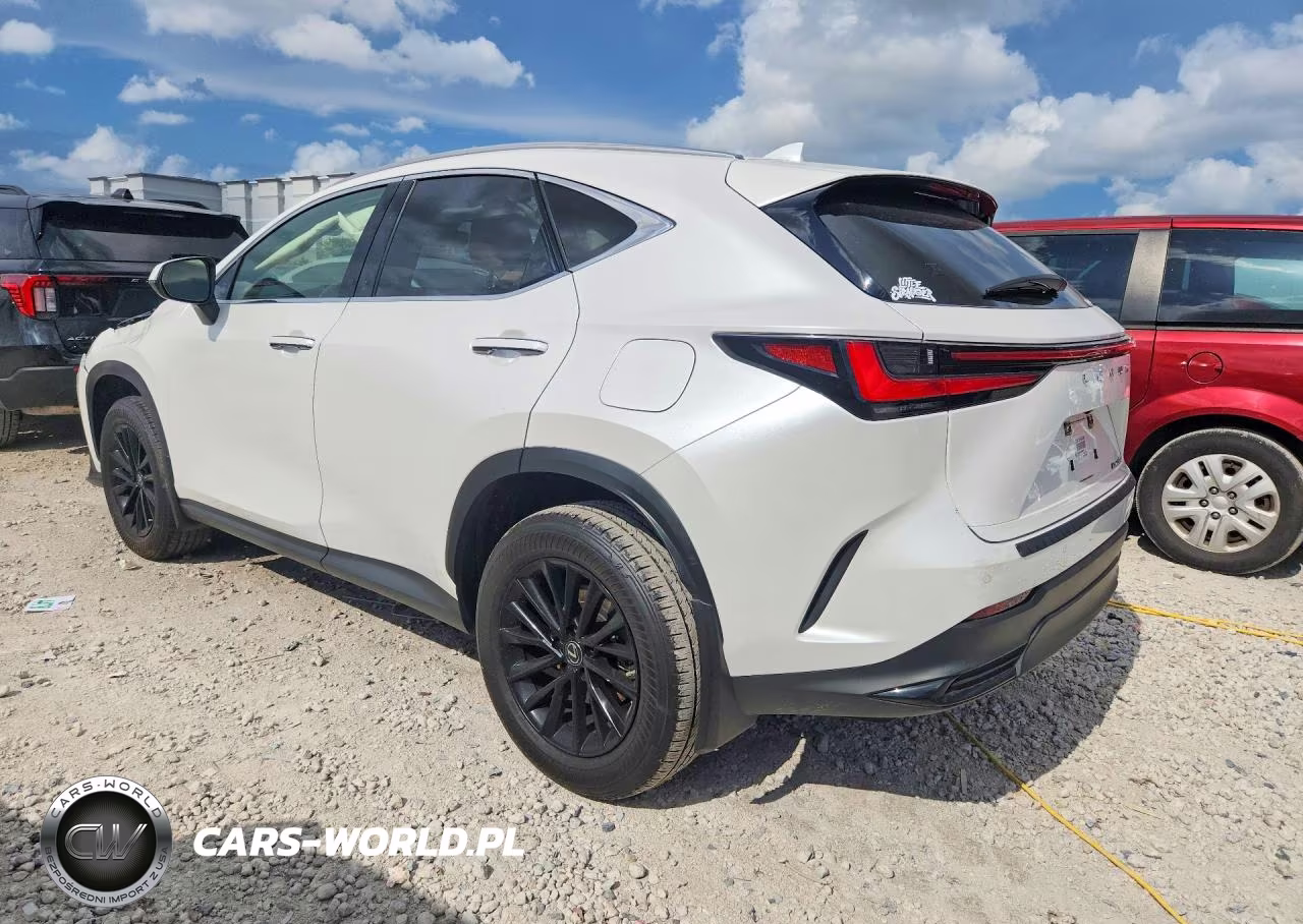 2022 Lexus Nx 250 VIN:JTJGDCAZ2N5000719 - 2