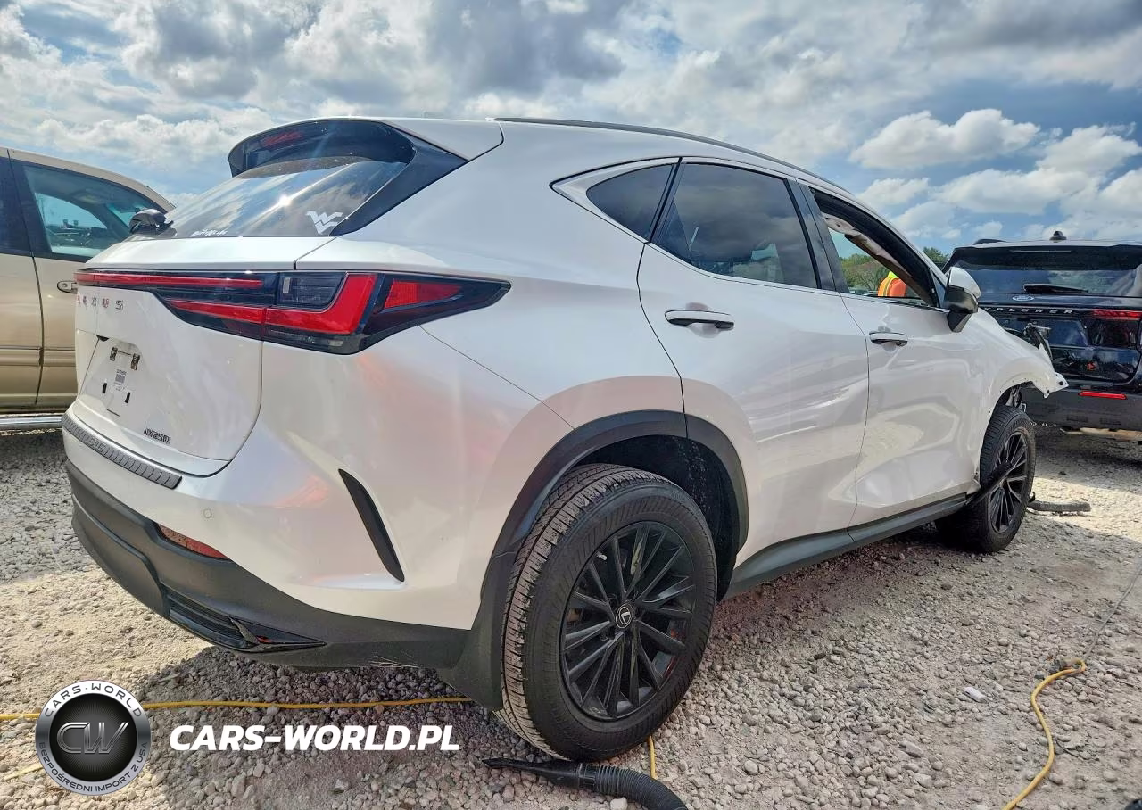 2022 Lexus Nx 250 VIN:JTJGDCAZ2N5000719 - 3