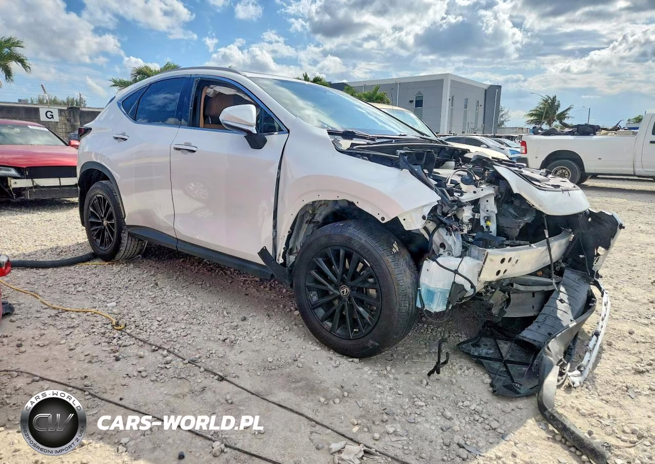 2022 Lexus Nx 250 VIN:JTJGDCAZ2N5000719 - 4