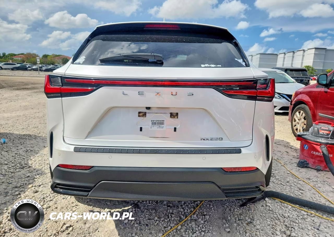 2022 Lexus Nx 250 VIN:JTJGDCAZ2N5000719 - 6