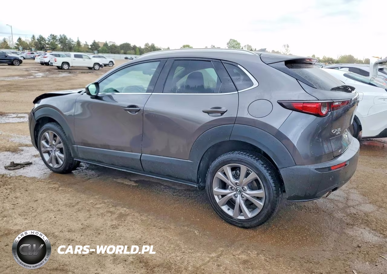 2021 Mazda Cx-30 Premium VIN:3MVDMBDM2MM225116 - 2