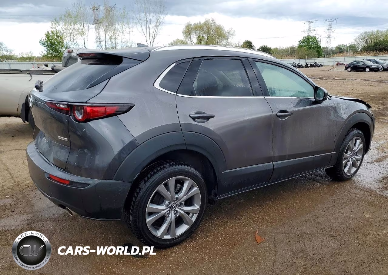 2021 Mazda Cx-30 Premium VIN:3MVDMBDM2MM225116 - 3