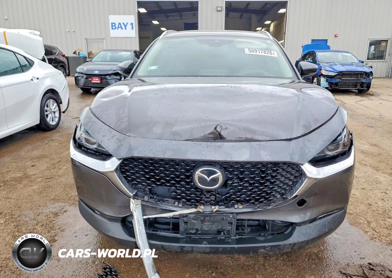 2021 Mazda Cx-30 Premium VIN:3MVDMBDM2MM225116 - 5