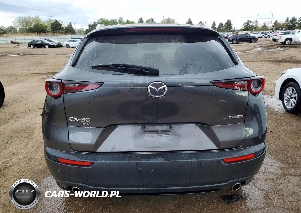 2021 Mazda Cx-30 Premium VIN:3MVDMBDM2MM225116 - 6