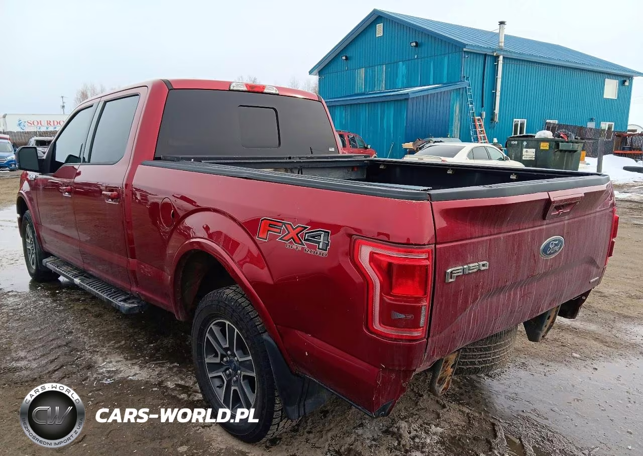 2015 Ford F150 Supercrew VIN:1FTFW1EF5FFA45520 - 2