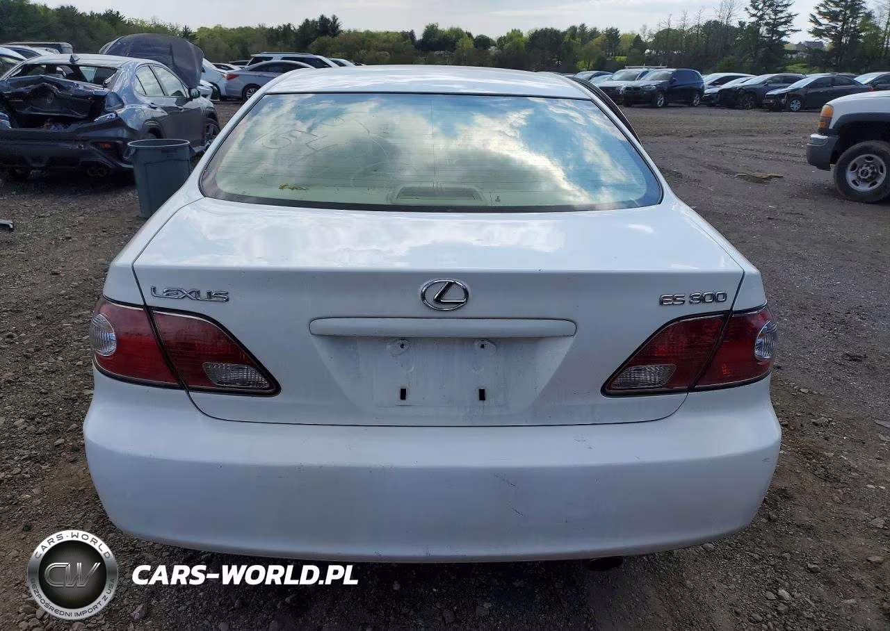 2003 Lexus Es 300 VIN:JTHBF30G230099932 - 6