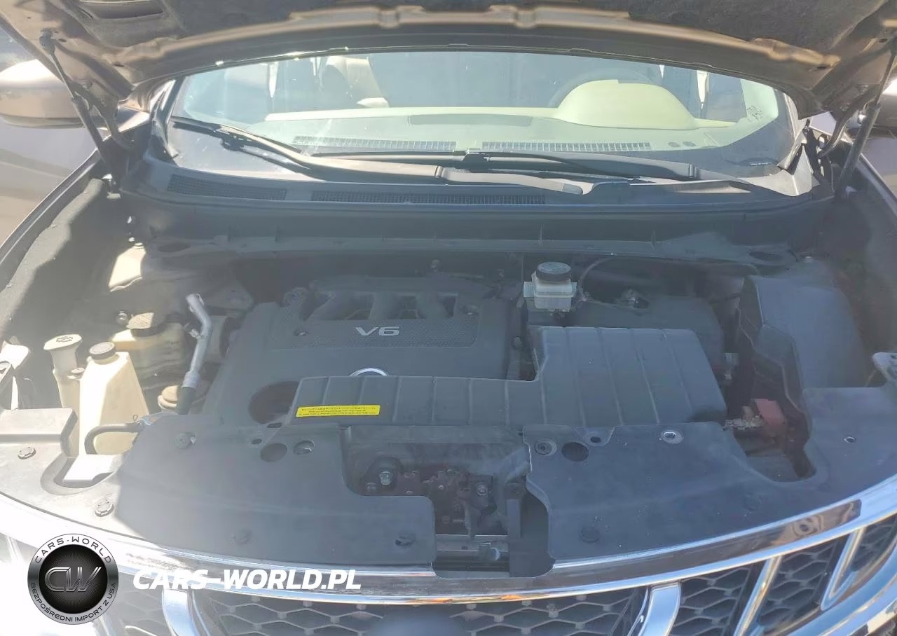 2013 Nissan Murano S VIN:JN8AZ1MW1DW319879 - 12
