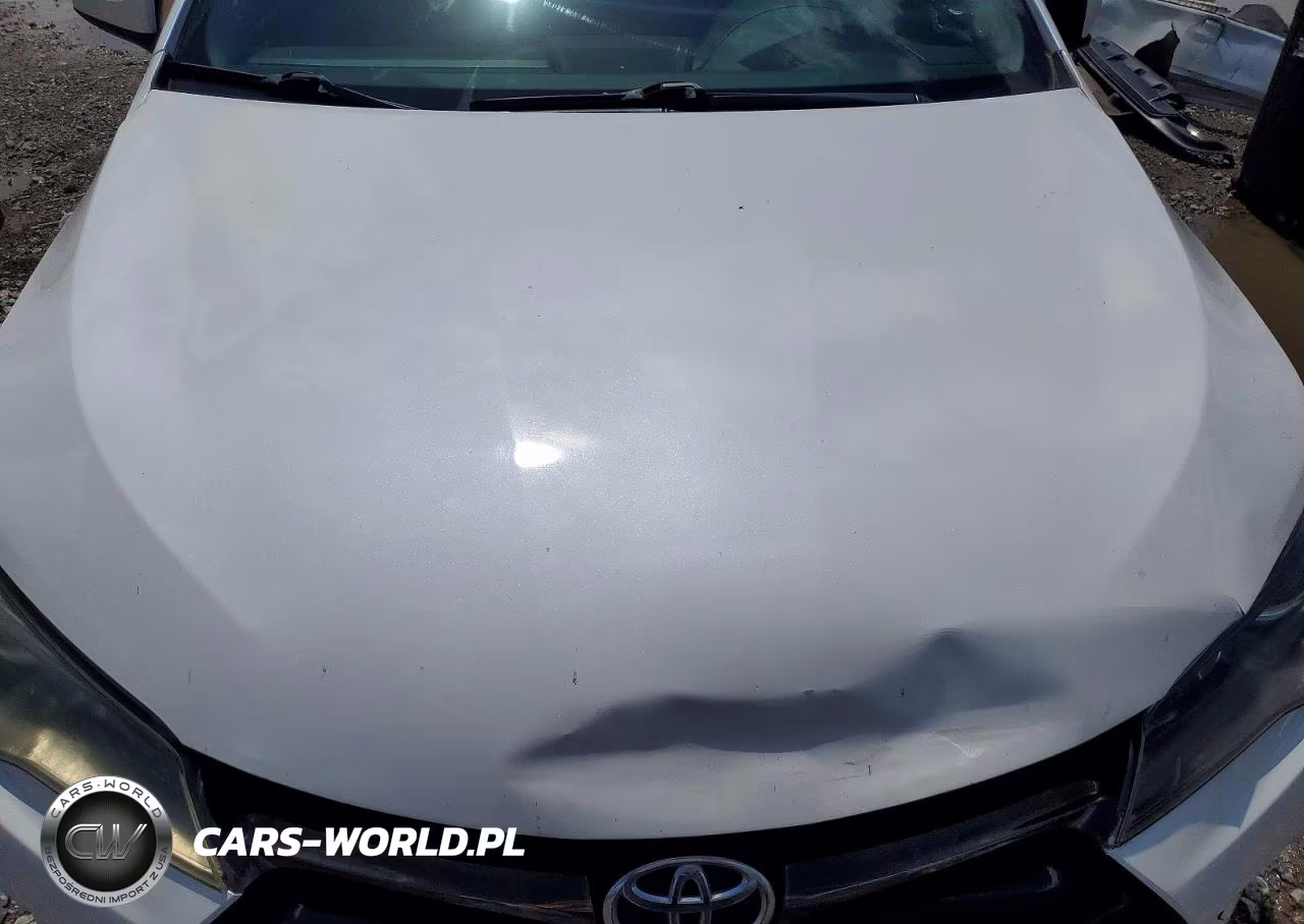 2016 Toyota Camry Special Edition VIN:4T1BF1FK2GU555956 - 11