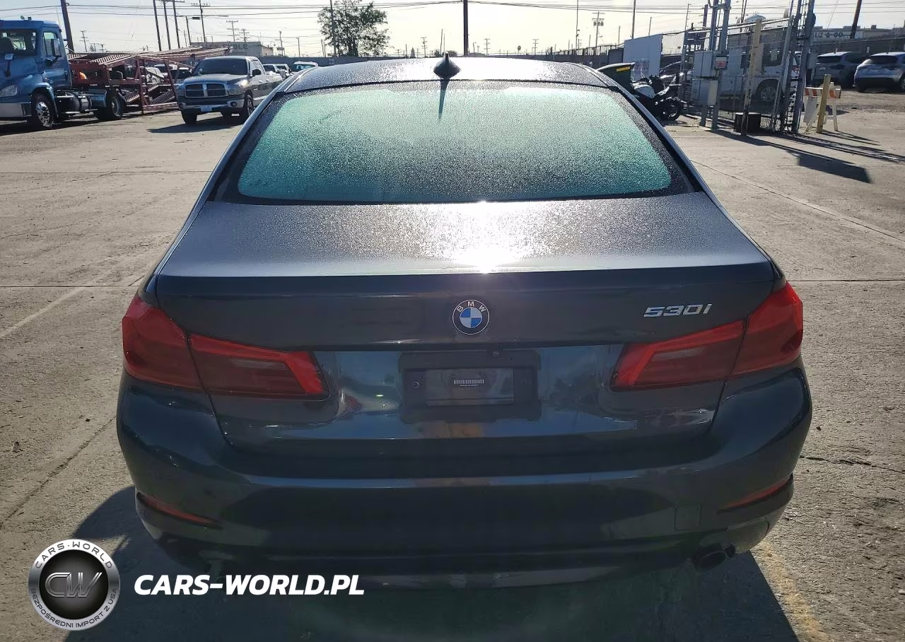 2020 BMW 530I VIN:WBAJR3C00LWW69312 - 6