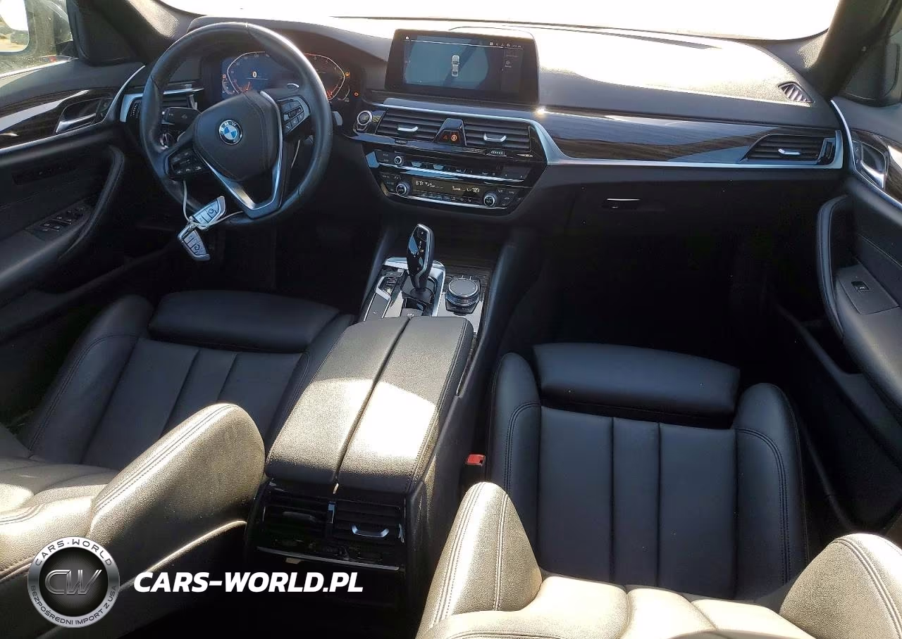 2020 BMW 530I VIN:WBAJR3C00LWW69312 - 8