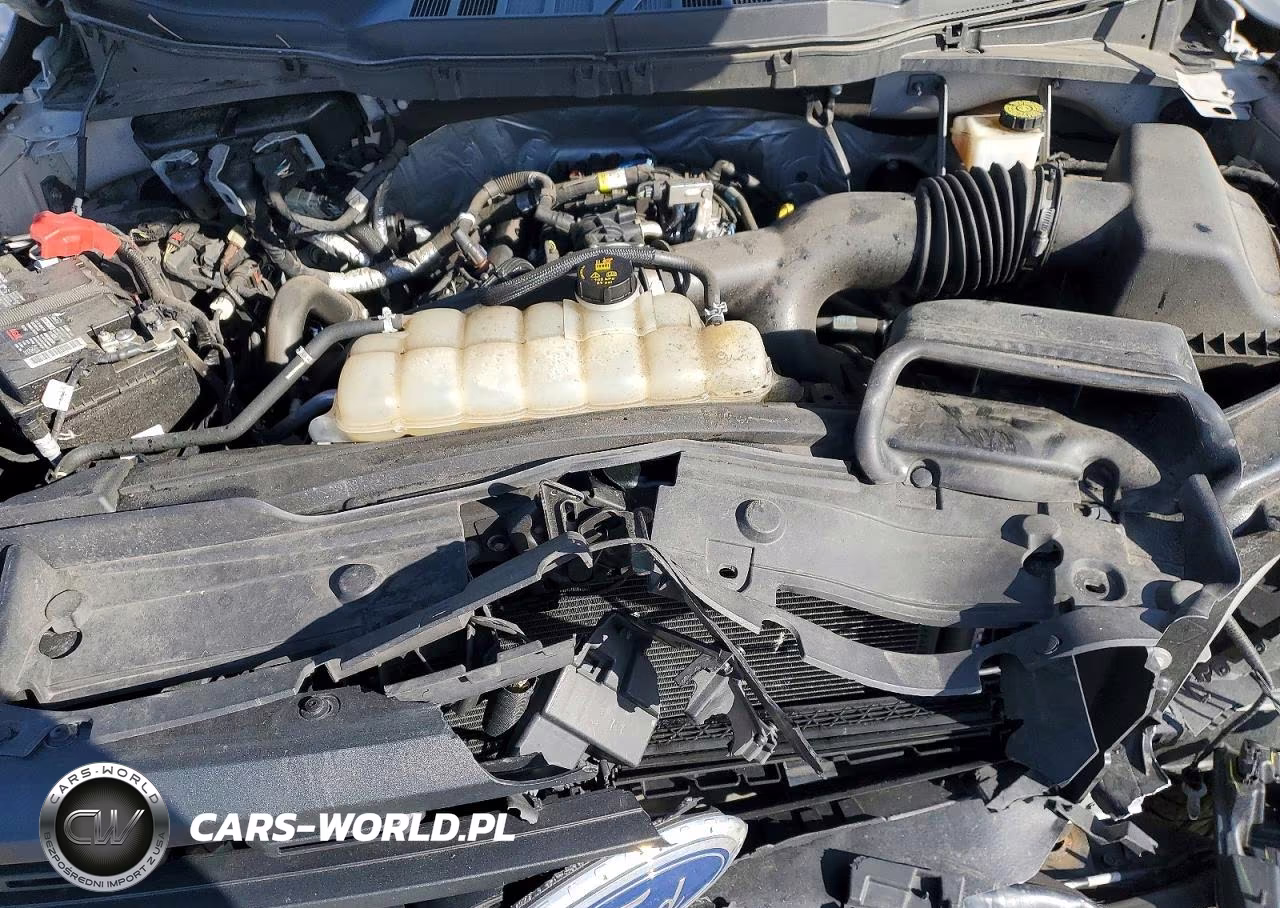2021 Ford F150 Supercrew VIN:1FTEW1EP6MKE30335 - 11