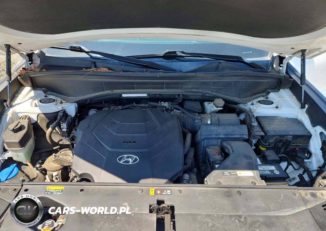 2020 Hyundai Palisade Sel VIN:KM8R24HE0LU119958 - 12