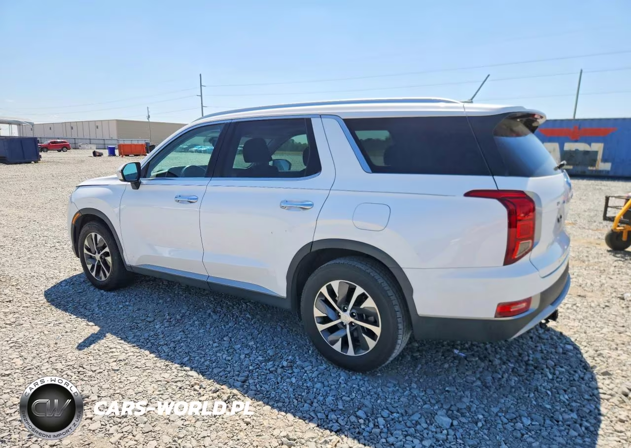 2020 Hyundai Palisade Sel VIN:KM8R24HE0LU119958 - 2