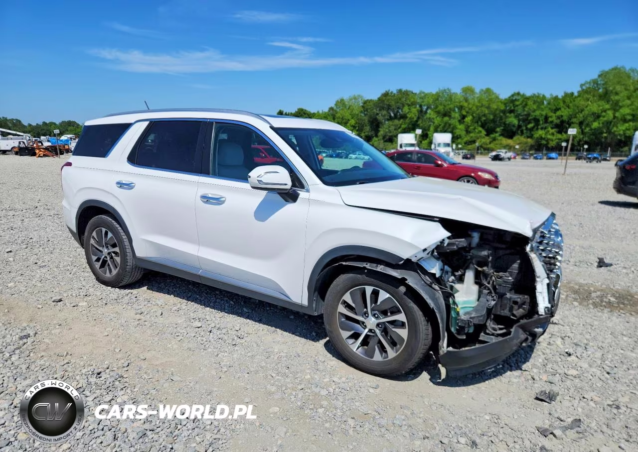 2020 Hyundai Palisade Sel VIN:KM8R24HE0LU119958 - 4